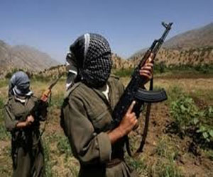   مصر اليوم - منظمة حزب العمال الكردستاني تختطف 4 أشخاص في شرناق