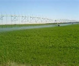   مصر اليوم - مصر تطرح أمام مؤتمر عربي 60 ألف فدان للاستثمار الزراعي المشترك