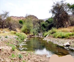   مصر اليوم - البنك الدولي: 3 ملايين مصاب بمرض البلهارسيا في اليمن