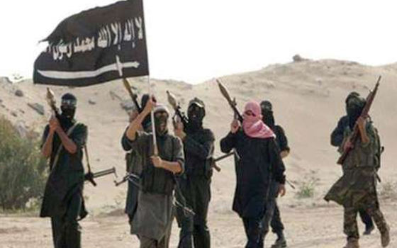   مصر اليوم - مصر ترحب باعتبار واشنطن لجماعة أنصار بيت المقدس كـمنظمة إرهابية