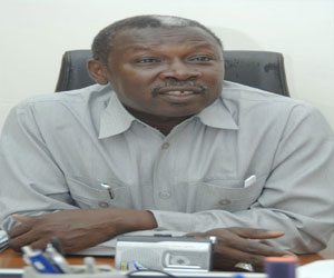   مصر اليوم - مدير الآثار السوداني يؤكد وجود تواصل حضاري بين بلاده ومصر