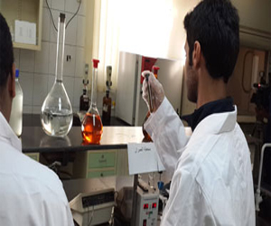   مصر اليوم - علماء يبتكرون طريقة لصنع الإيثانول دون استخدام الحبوب