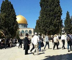   مصر اليوم - مستوطنون اسرائيليون يقتحمون باحات المسجد الأقصى للتخريب