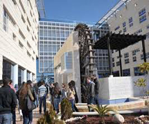 مصر اليوم - محاضرة عن التنوع في التعليم العالي في الجامعة الالمانية