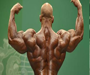   مصر اليوم - اتحاد كمال الأجسام يتلقى دعوة للمشاركة في دورة دبي