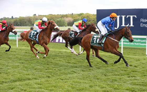   مصر اليوم - الدارالبيضاء تستضيف الجولة الـ5 من بطولة العالم للسيّدات إفهار لمسافة ألف و900 مترًا