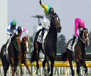   مصر اليوم - انطلاق كأس العالم للخيل العربيّة الأصيلة في أميركا