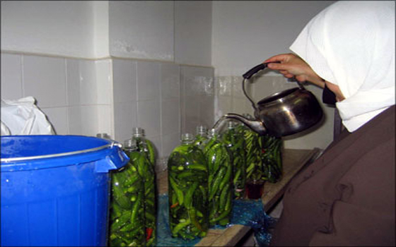   مصر اليوم - دراسة تؤكّد أنّ العاملات الفلسطينيّات في إسرائيل تُظلم مرتين