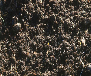   مصر اليوم - الصين تبدأ تنظيف تلوث التربة وسط شكوك بشأن التمويل