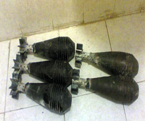   مصر اليوم - سيدة ألمانية تعثر على قذيفة هاون خاصة بالجيش داخل حوض للزهور