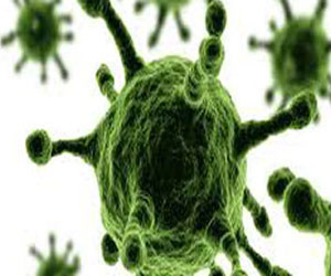   مصر اليوم - إعادة الحيوية إلى الأعضاء الحية باستهداف جينات معينة