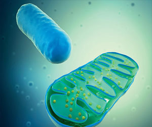   مصر اليوم - دور الإنزيمات مُهمّ وأساسيّ في جسم الإنسان