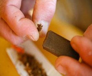   مصر اليوم - الأكاديمية الطبية الفرنسية تعلن الحرب على الحشيش وتعتبره قضية وطنية