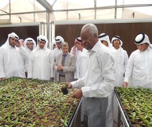   مصر اليوم - الكويت تُطلق ورش تدريب لحماية البيئة في أيار المقبل