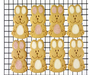   مصر اليوم - طريقة تحضير الكوكيز