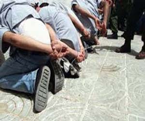 مصر اليوم - القبض على تشكيل عصابي في الغربية