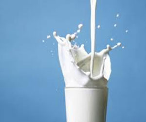   مصر اليوم - دراسة : كوب أو كوبين من اللبن في الأسبوع يخفف حدة إلتهاب المفاصل