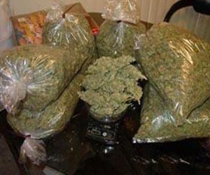   مصر اليوم - توقيف 4 عاطلين وفي حوزتهم كليو ونصف بانجو في الإسماعيليّة