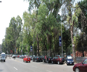   مصر اليوم - رومانيا أقل دول الاتحاد الأوروبي في معدلات التشجير