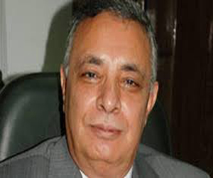   مصر اليوم - محافظ سُوهاج يُشيد بتحقيق الاكتفاء الذاتي من القمح