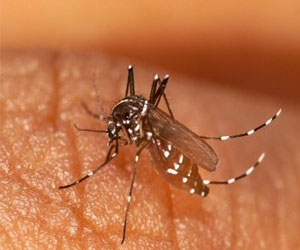   مصر اليوم - تحذير من انتشار فيروس الشيكونغونيا في جزر حوض الكاريبي