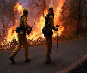   مصر اليوم - ارتفاع حصيلة ضحايا حرائق الغابات في تشيلي إلى 15 قتيلًا و500 مصاب