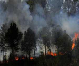   مصر اليوم - رئيسة تشيلي تتعهد بإعادة بناء المناطق المتضررة من حرائق الغابات