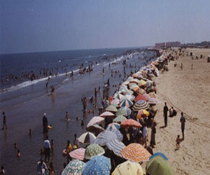   مصر اليوم - مصيف بلطيم يستعد لإستقبال زواره في شم النسيم