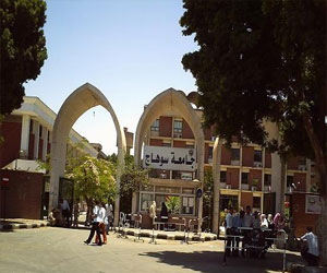 مصر اليوم - مهرجان لتأهيل طلاب جامعة سوهاج لسوق العمل الخاص بنظم المعلومات