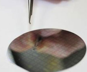   مصر اليوم - باناسونيك وفوجيتسو توقعان اتفاقاً لإنشاء شركة للرقائق الإلكترونية