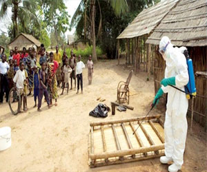   مصر اليوم - حمى إيبولا تفتك ب 112 مصابًا من أصل 163 في غرب قارة أفريقيا