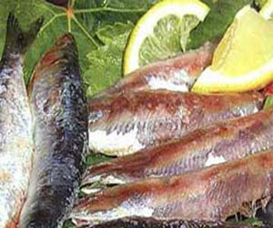   مصر اليوم - وزارة الصحة تحذر من تناول الفسيخ خلال أعياد شمِّ النسيم