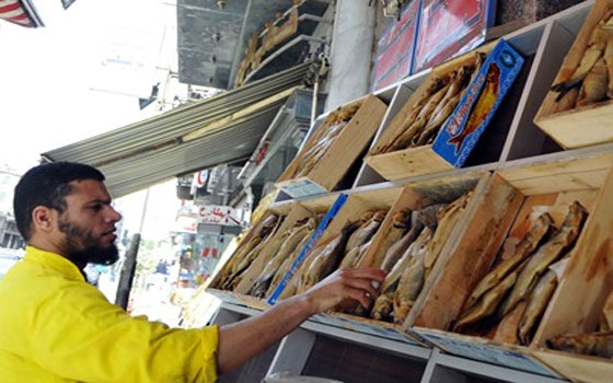   مصر اليوم - انتعاش حركة بيع الفسيخ في الإسماعيلية رغم ارتفاع الأسعار مع قرب احتفالات شمّ النّسيم