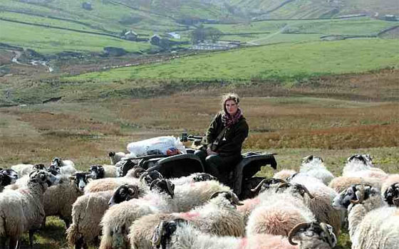   مصر اليوم - بريطانيّة تستوحي حياتها من قصص جيمس هيريوت