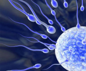   مصر اليوم - علماء يتوصلون إلى بروتين قد يعالج العقم