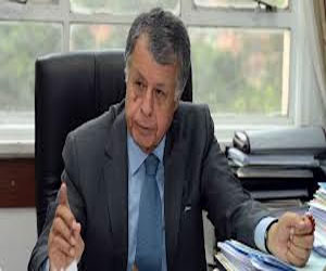   مصر اليوم - محمد صبيح : نجاح الديمقراطية في الجزائر مهم للدول العربية