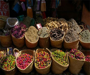   مصر اليوم - 70% من المغاربة يعتمدون التدَاوِيَ بالأعشاب الطبيَّة