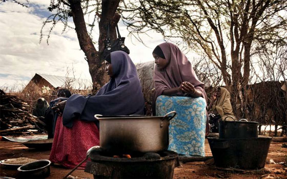   مصر اليوم - ورشة عمل لبحث الأزمات الغذائيَّة في موريتانيا