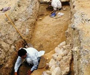   مصر اليوم - توقيّف شقيقيّن يُنقبان عن الآثار في الأقصر