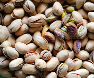   مصر اليوم - تركيا تعتزم بناء أول مدينة تعتمد على قشر الفستق للتدفئة