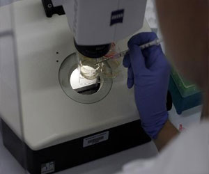   مصر اليوم - أول استنساخ لخلايا بشرية في مرحلة البلوغ لايجاد خلايا جذعية جنينية