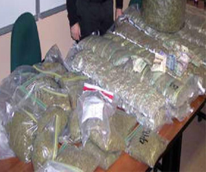   مصر اليوم - توقيف مسجل خطر وفي حوزته كيلو ونصف بانجو في بورسعيد