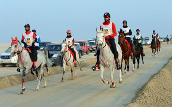   مصر اليوم - ناصر بن حمد يشيد بالدَّعم الكبير الذي يقدِّمه وليُّ عهد البحرين لرياضة القدرة
