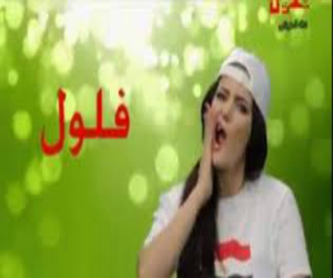   مصر اليوم - أجهزة الأمنية تغلق قناة فلول لمخالفة التصريحات