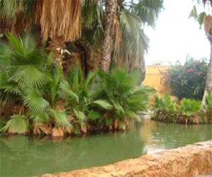   مصر اليوم - دعم وترقية قطاع السياحة والصناعات التقليدية في خنشلة