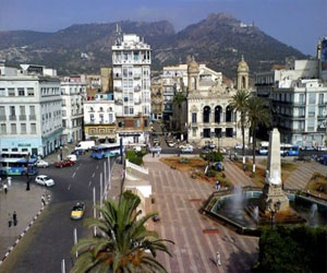   مصر اليوم - القطيع وسيلة علاجية تعرف انتشارًا واسعًا في وهران