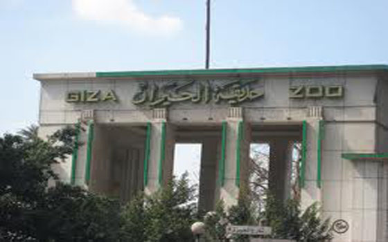   مصر اليوم - وزارة الصحة تُعلن حالة الطوارئ للاحتفال بـشم النسيم