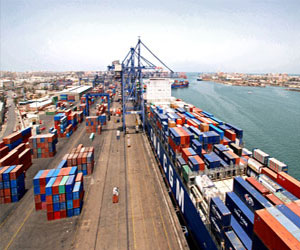   مصر اليوم - ضبط 33 طرد حصان بحر مجفف في ميناء بور سعيد