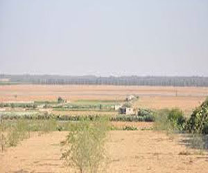   مصر اليوم - طرح 660 قطعة أرض للبناء للشباب بمدينة السباعية في أسوان