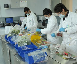   مصر اليوم - أمانة القصيم تجري تجربة بحثية لسلامة الغذاء